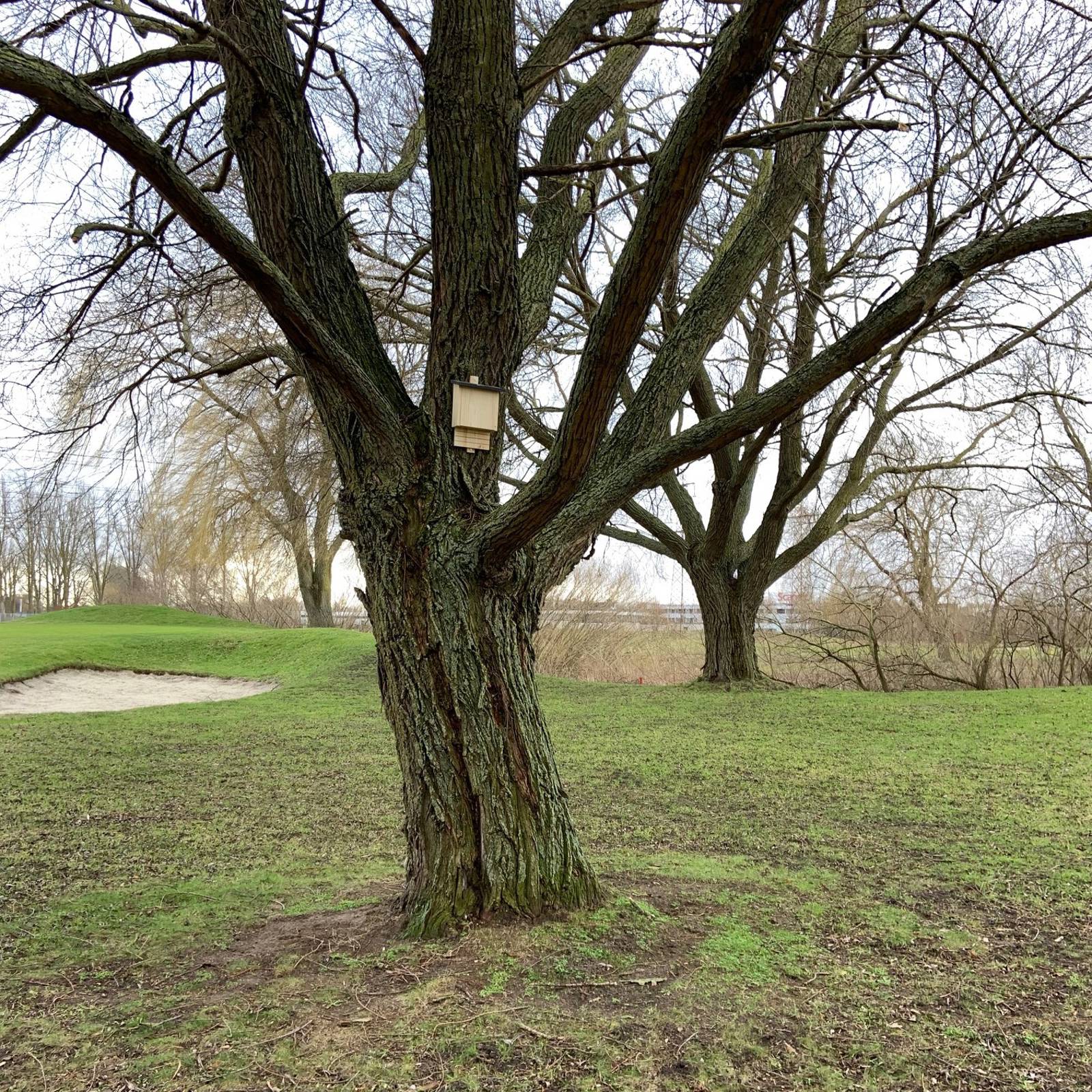IMG 4073 (1)