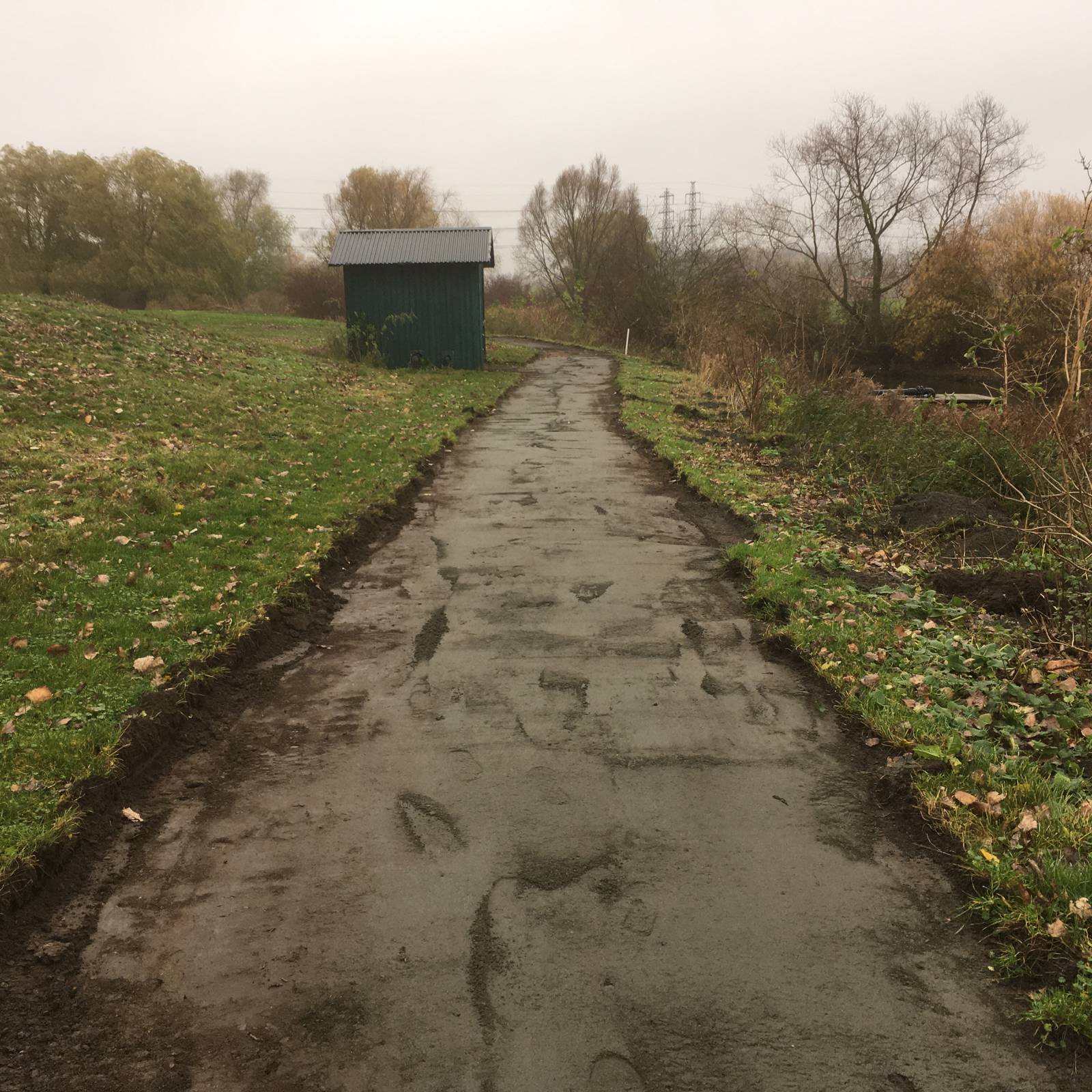 IMG 0012