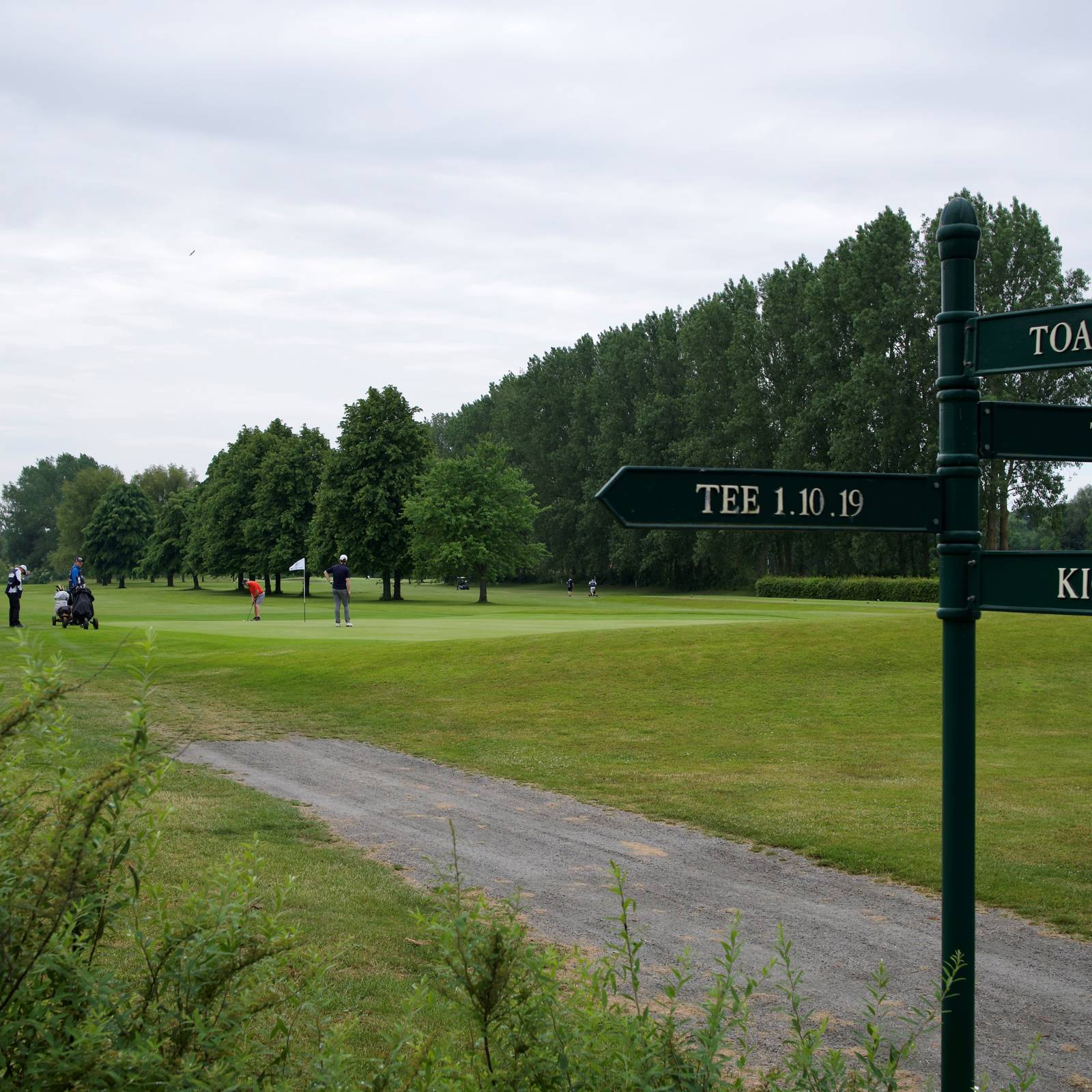 Green 9