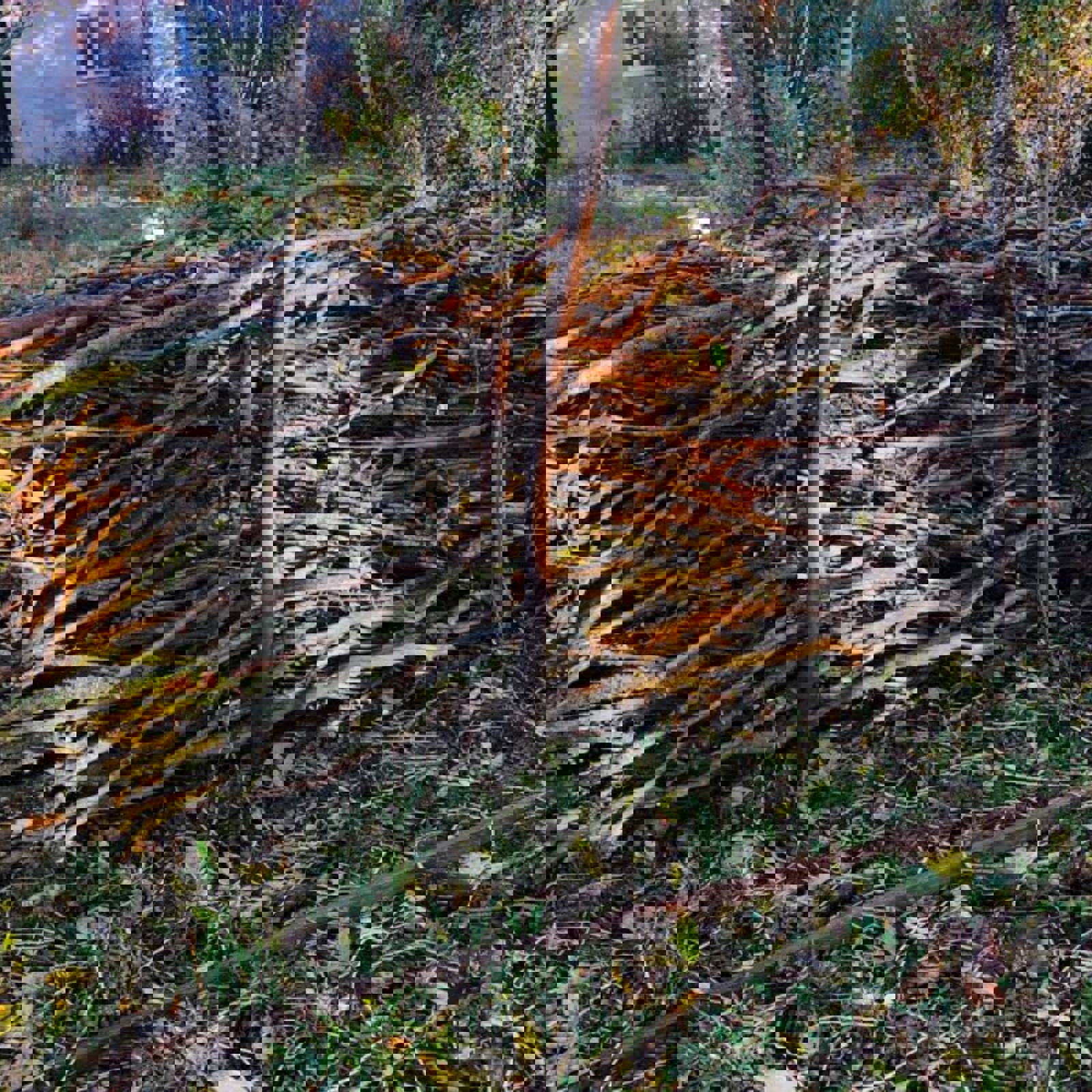 Naturhäck