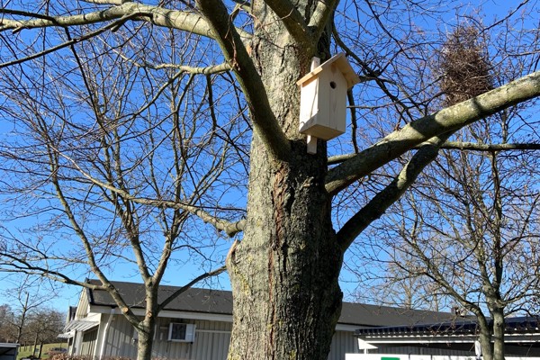 Projekt Biologisk mångfald är nu igång